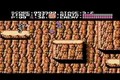 Ninja Gaiden Game Review (Nes/Wii)