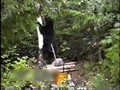 Canadian Black Bear Baiting Investigation