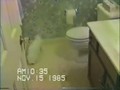 1985 - Fluffy Gets into Toilet Paper.wmv