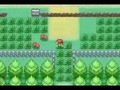 The Elite 4 - Pokemon Trainer combo video