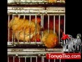 KFC: 3 Employees Bathe in Sink. Fired TonyaTko says SO WHAT?