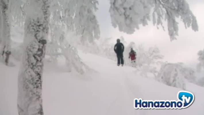 Ski Hanazono Snow Report for Niseko