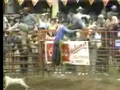 Rodeos are Cruel and Abuse Animals