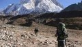 PH Everest Trailer LORES