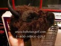 Bison Head Cover