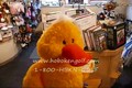 Cuddle Pal Duck