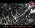 DESAR-CHIVANDO... Fidel Castro dispara a los montes cubanos
