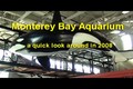 Quick Tour of the Monterey Bay Aquarium 2008