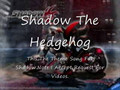 Shadow The Hedgehog Theme Song