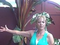 Barbara, The Green Goddess, The Queen of Curb Appeal, Welcomes You!