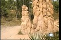 ABC World News - Termites 