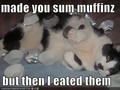 Cuppy Cake Muffins