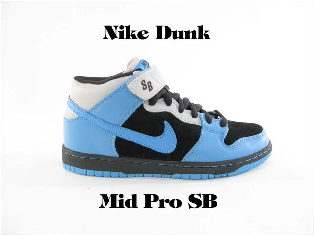 Nike Dunk Mid Sb (314383-041)