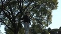 BMW Golf Cup International: 2008 World Final in Buenos Aires