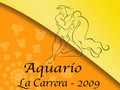 Acuario Horoscopo La Carrera 2009