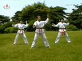 Sonyun Taekwondo