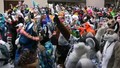 Further Confusion 09 - Of Parades and Fursuits