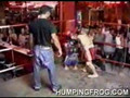 Midget Thai Boxing