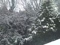Quick Video of More Snow in UK Feb 2009
