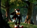 Shadow the Hedgehog Is Indestructable