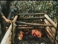 Die Wahre Apokalypse- Das Vietnam Inferno