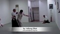 Aikido 4th KYU Test