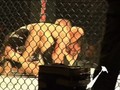 Ryan Sheckler + Lil' Jon = MMA Fighting