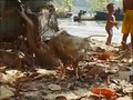 Birma- Das Ende der Seenomaden 
