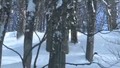 How to 'Ski Trees' with ski legend Glen Plake