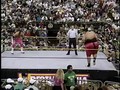Bret Hart vs. Yokozuna (w Yokozuna vs. Hogan For WWE Title)