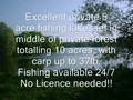 fishing, holiday, retreat, france, private, lake, no licence