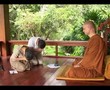 Ajahn Jayasaro - Buddhist Education 8