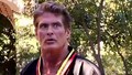 Don't Hassel the Hoff