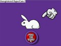 Poke The Bunny (3 mins long)