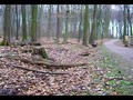 vMovie 9 | Chilling in the Woods
