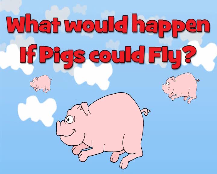 What if Pigs could fly?
