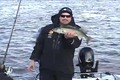 Spring Walleye Fishing  De Pere Dam ONLY on HawgNSonsTV!