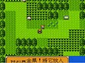 BOOTLEG SHIT: Pokemon Games (Famicom) [Part 3/4]