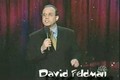 Comedian David Feldman Talks About Comedy