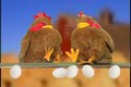The Singing and Counting Chickens from Lots To Learn educational DVDs and Children's Videos