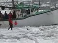 Banned Confiscated Video Sealers & DFO Don't Want You to See - Canadian Seal Hunt Violations Caught on Video