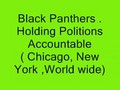New Black Panthe View on holding Polition Accountable ( Chicago,New York, World Wide ) 