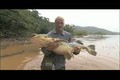 River Monsters - Big F@#$%ing fish