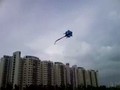 The Gecko Rokaku - Japanese Classic Fighter Kite
