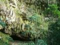 Fern Grotto on Kauai
