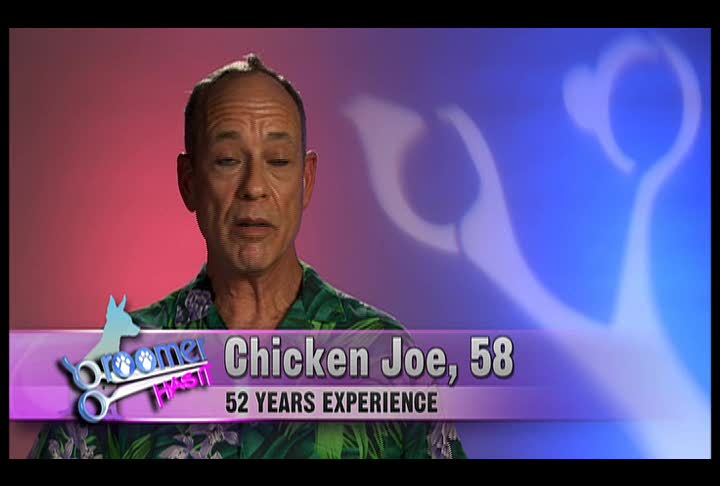 Groomer Has It: Meet Chicken Joe