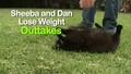 Cat loses weight OUTTAKES