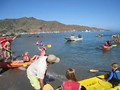 Catalina kayak race.avi
