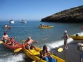 Catalina kayak race 2.avi