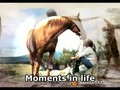Moments in life